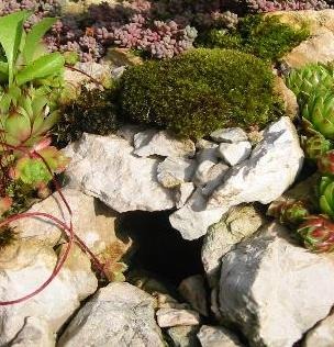 Höhle kompakt zum einbauen