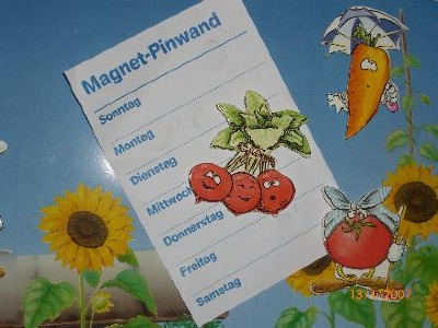 Magnetpinwand, 61 x 39,5 cm inklusive 8 originellen Magneten, Button Angebote, Code AC 29